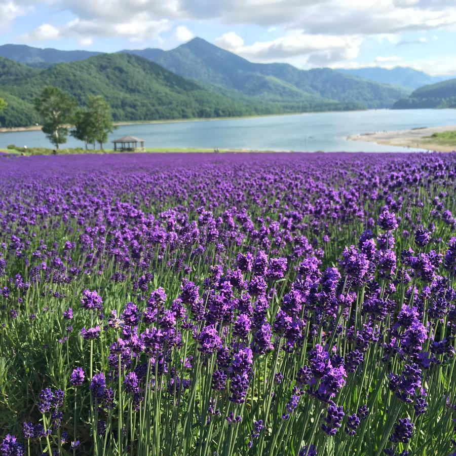นันปุเต Hotel Minamifurano ภายนอก รูปภาพ